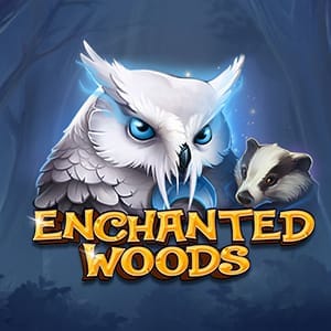 Enchanted Woods